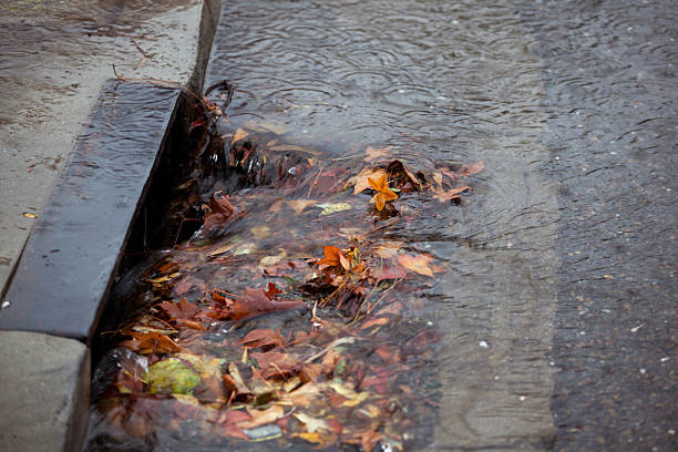 Clogged storm drain